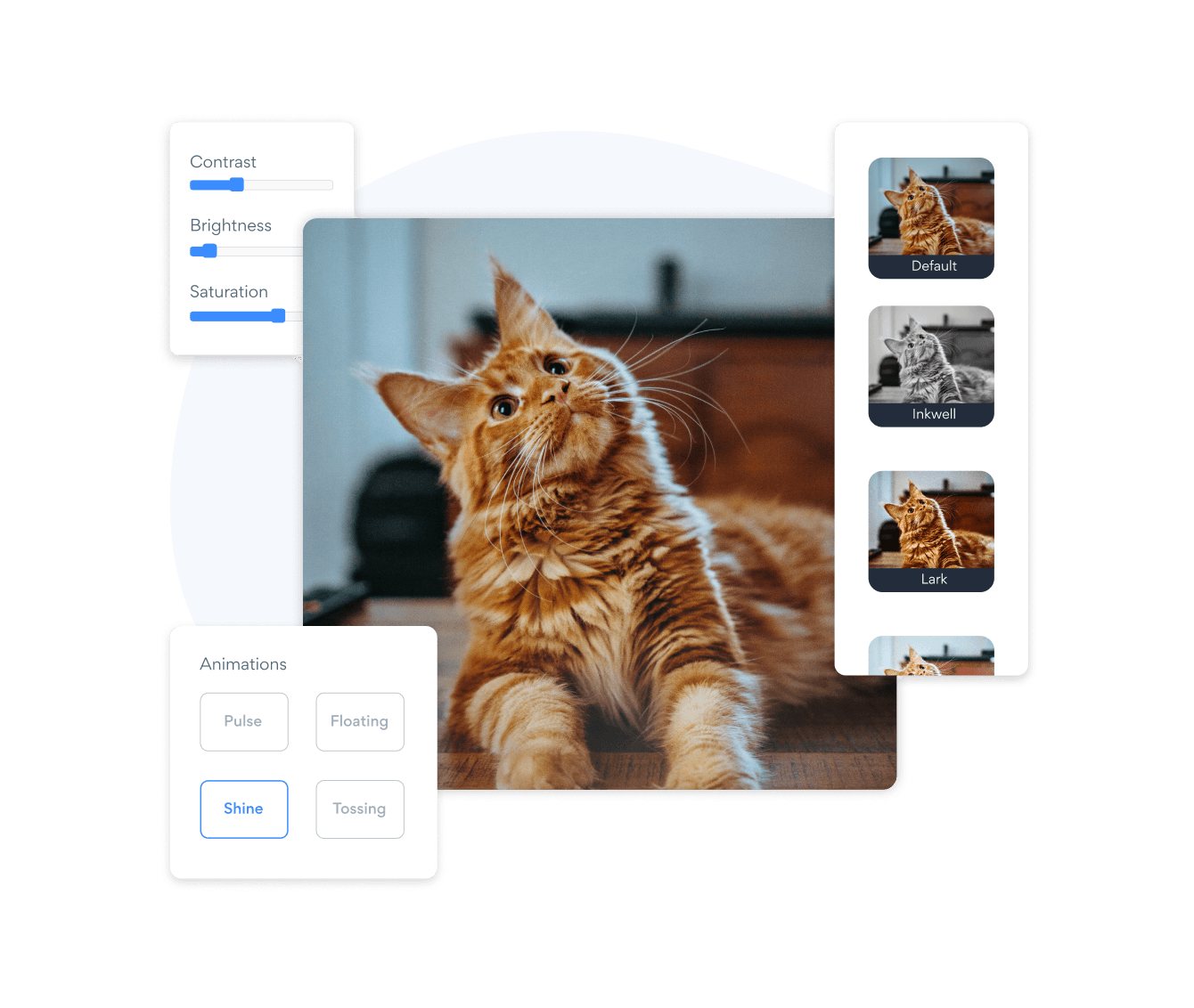 Image Resizer info section 1