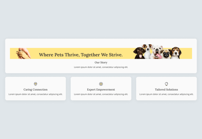 Pet Themed About Us