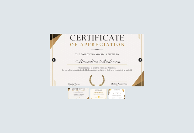 Certificate Multi Slider