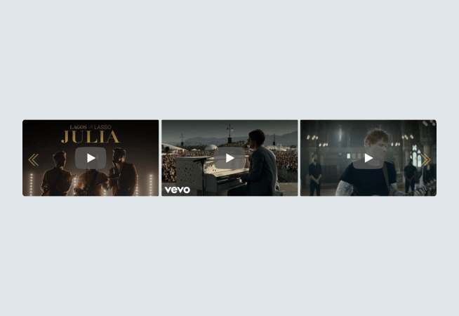Video Slider - Bumble Bee